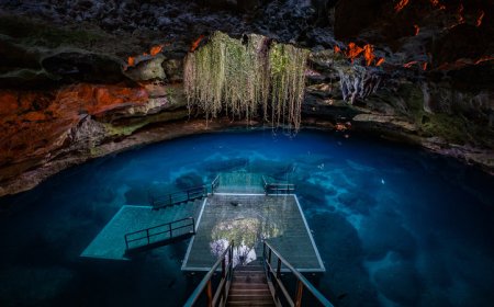 9 destinos na Flórida para explorar o universo subaquático