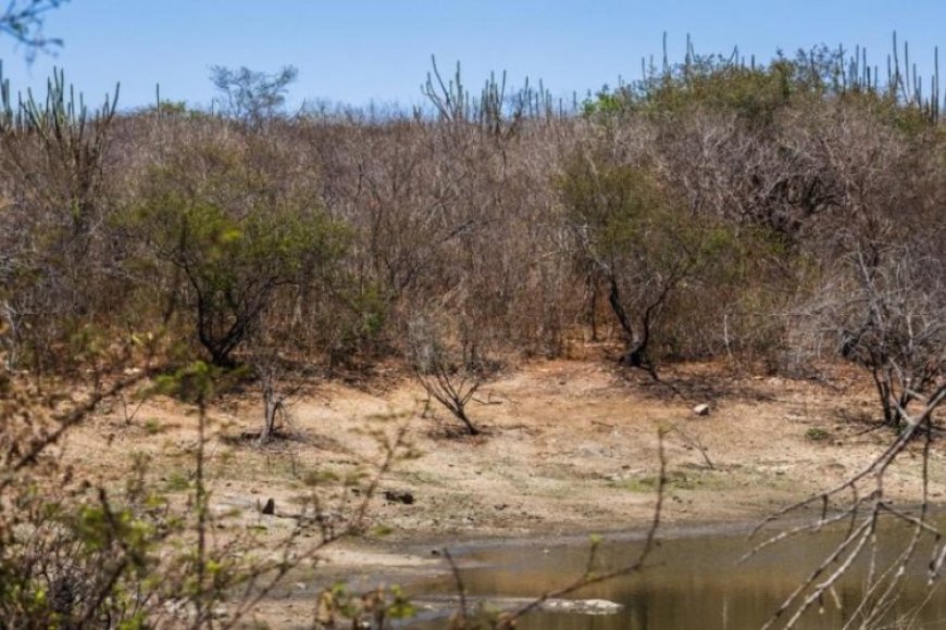 Seca deixa municípios em emergência no Leste