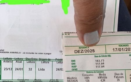 Fatura da conta de luz tem novo modelo