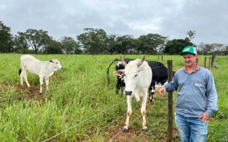Agro + Verde recupera 3.300 hectares no oeste de Minas Gerais