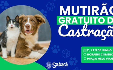 Sabará promove mutirão de castração gratuita para cães e gatos em junho