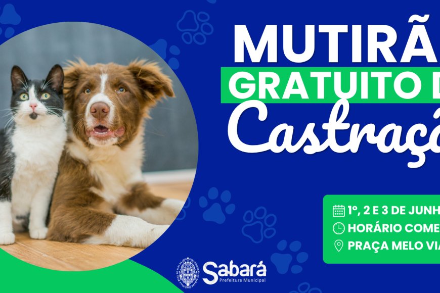 Sabará promove mutirão de castração gratuita para cães e gatos em junho