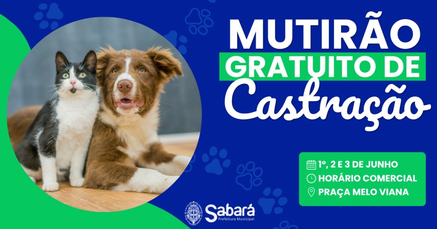 Sabará promove mutirão de castração gratuita para cães e gatos em junho