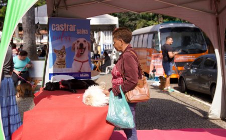 Prefeitura de Sabará realiza mutirão e castra mais de 300 cães e gatos