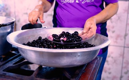 Produções valorizam histórias de mulheres que preservam a cultura do ora-pro-nóbis e da jabuticaba