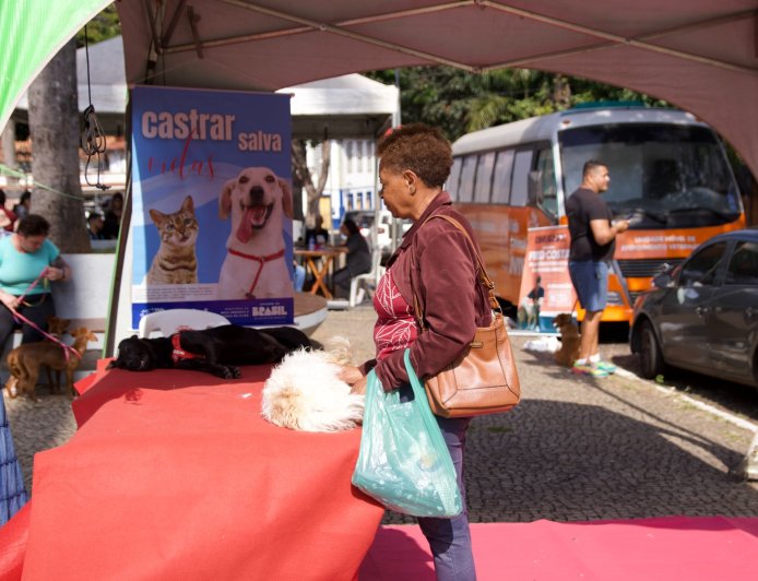 Prefeitura de Sabará realiza mutirão e castra mais de 300 cães e gatos