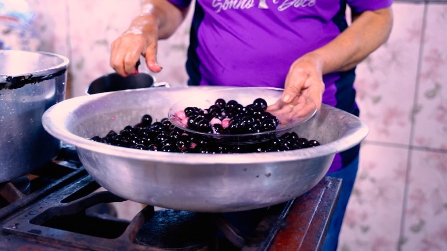 Produções valorizam histórias de mulheres que preservam a cultura do ora-pro-nóbis e da jabuticaba